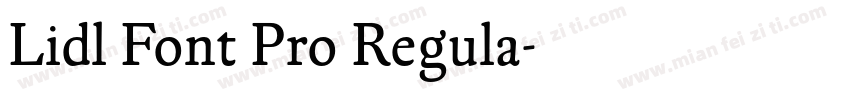 Lidl Font Pro Regula字体转换